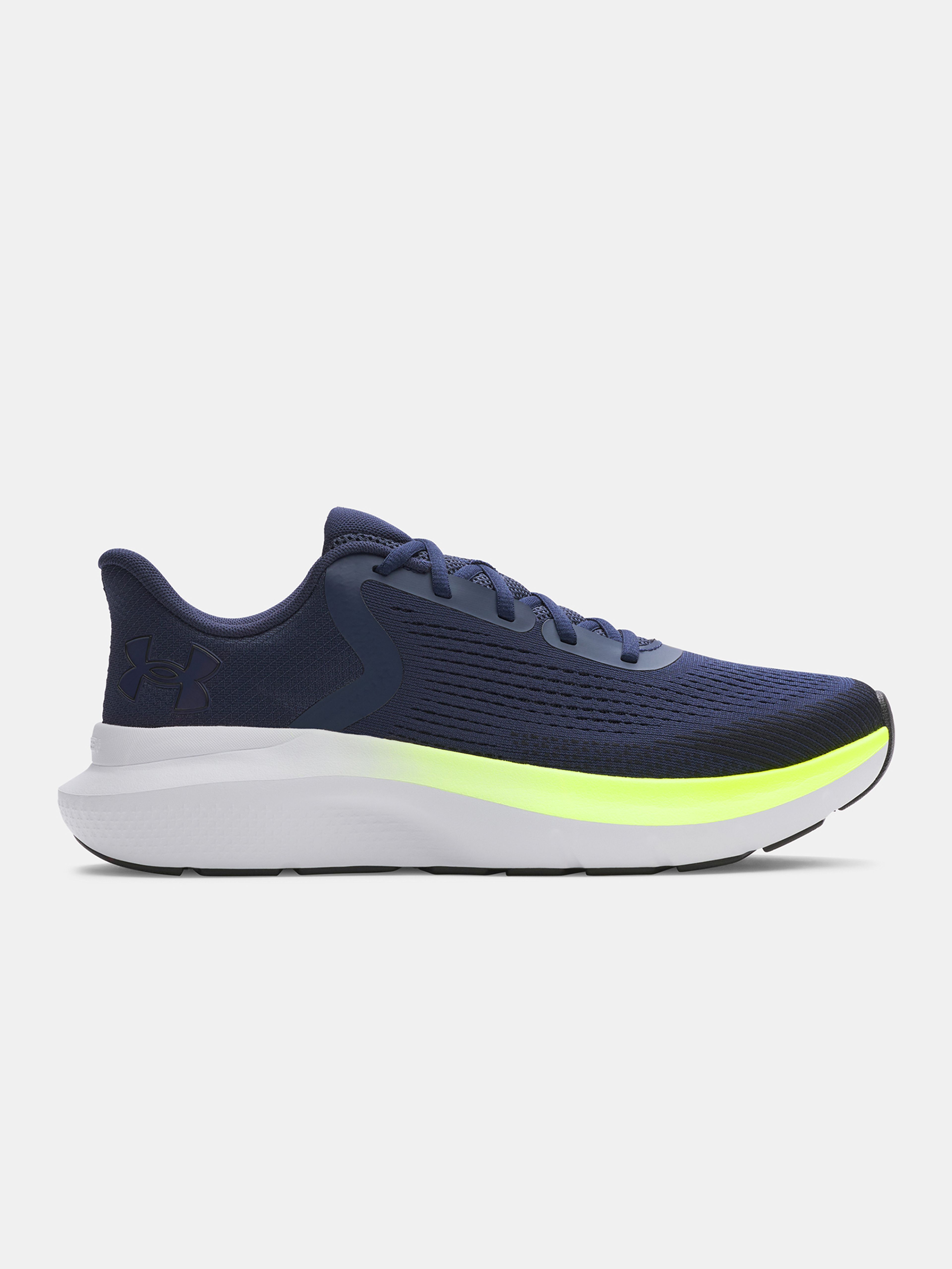 Vyriški batai Under Armour UA Charged Rogue 5-BLU