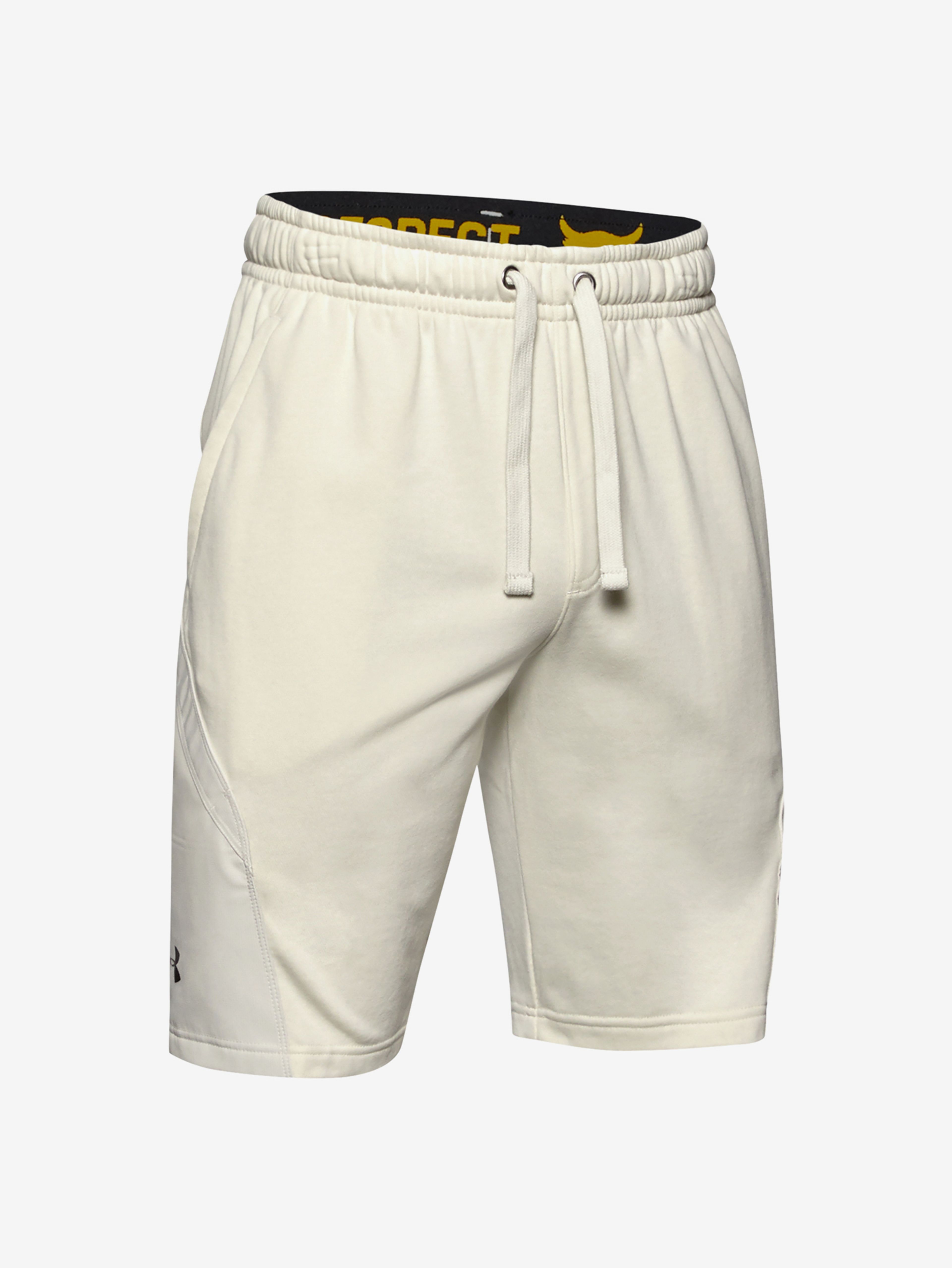 Meeste lühikesed püksid Under Armour Project Rock Terry Shorts