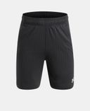 Poiste lühikesed püksid Under Armour UA Tech Vent Jcqrd Shorts-Must - 001