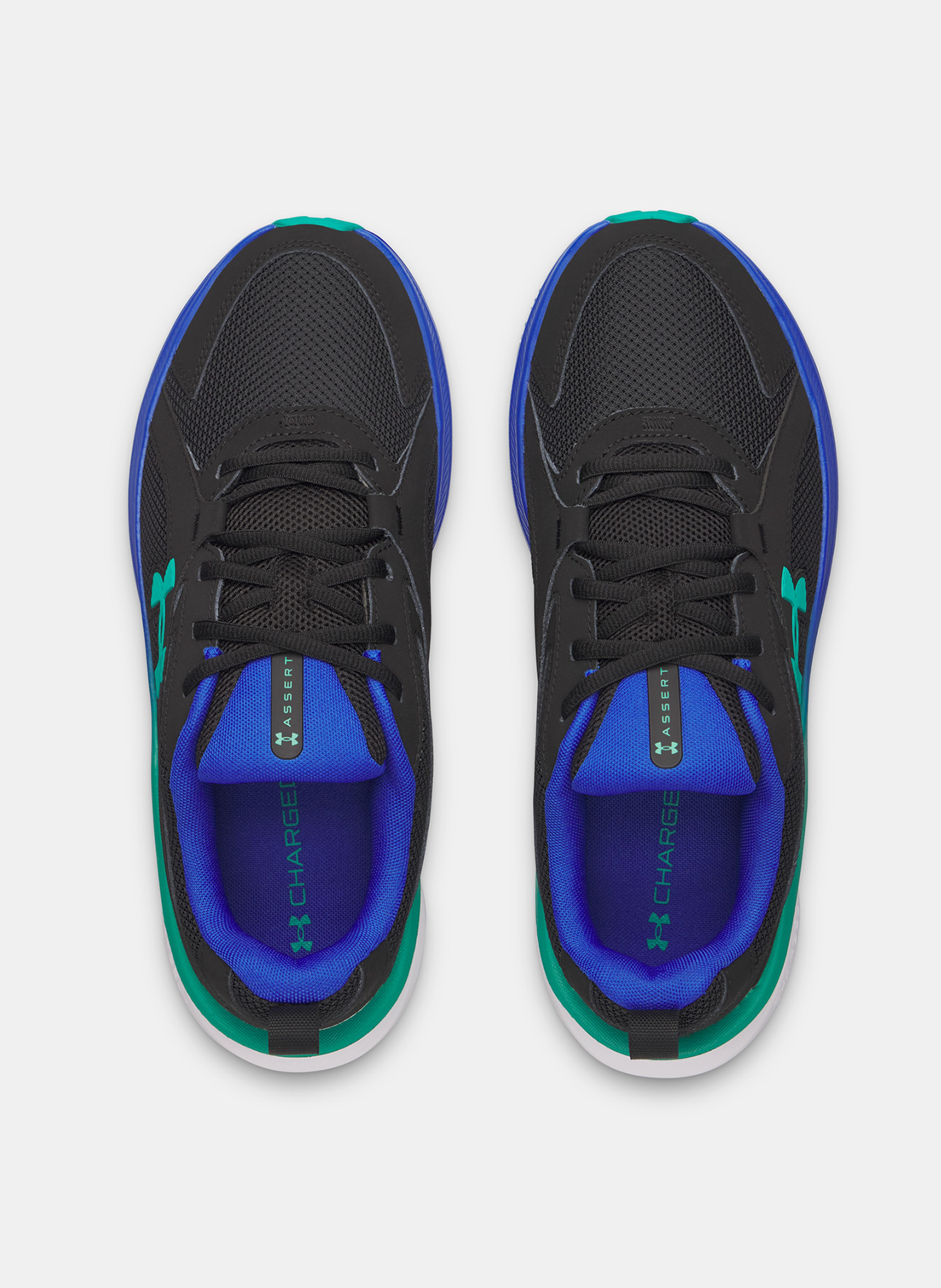 Moški čevlji Under Armour UA Assert 11 - 005