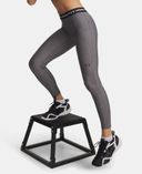 Dámské legíny Under Armour HeatGear Legging-Šedá - 004