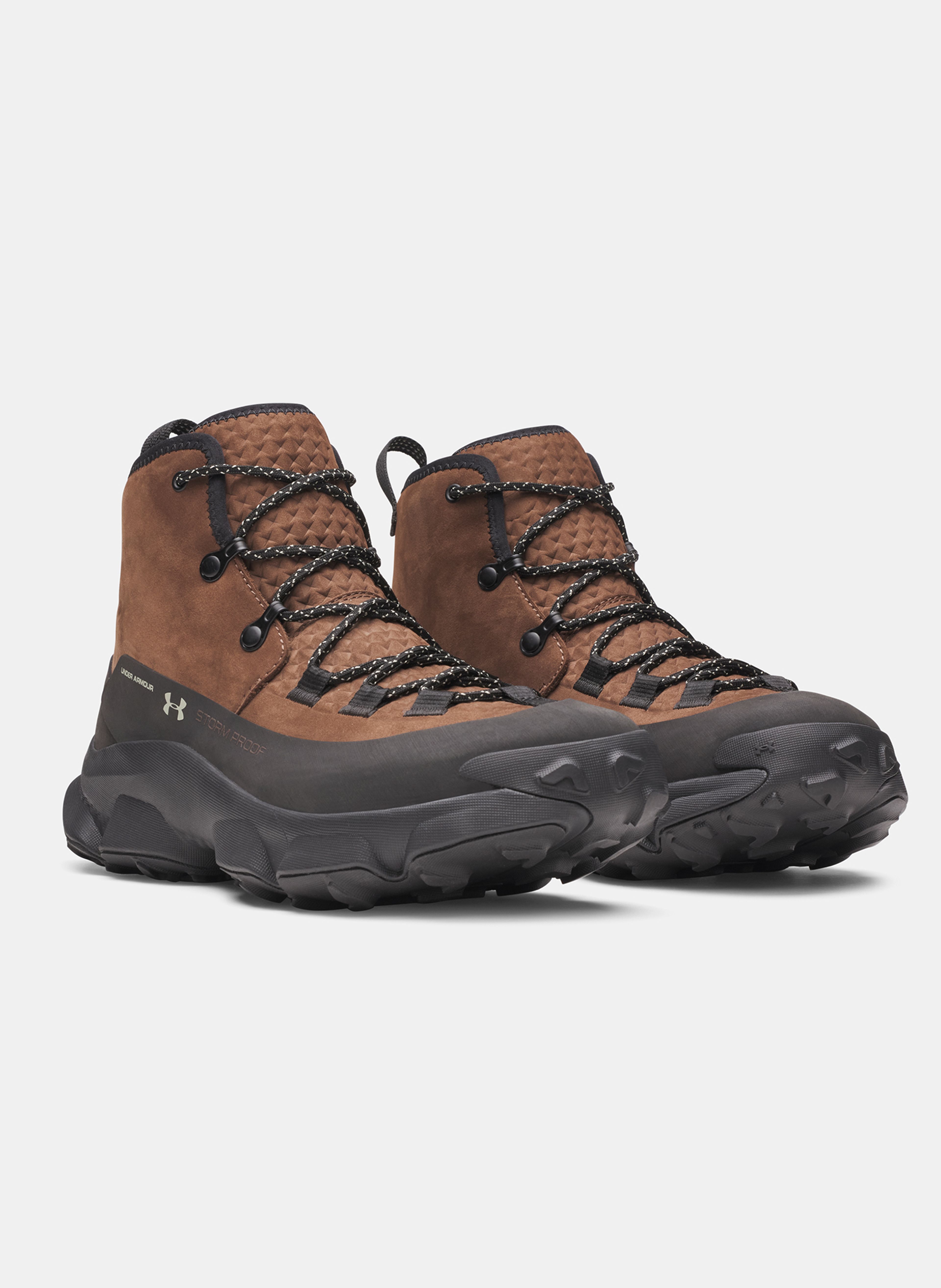 Moški čevlji Under Armour Charged Expanse Mid LTHR WP - 003