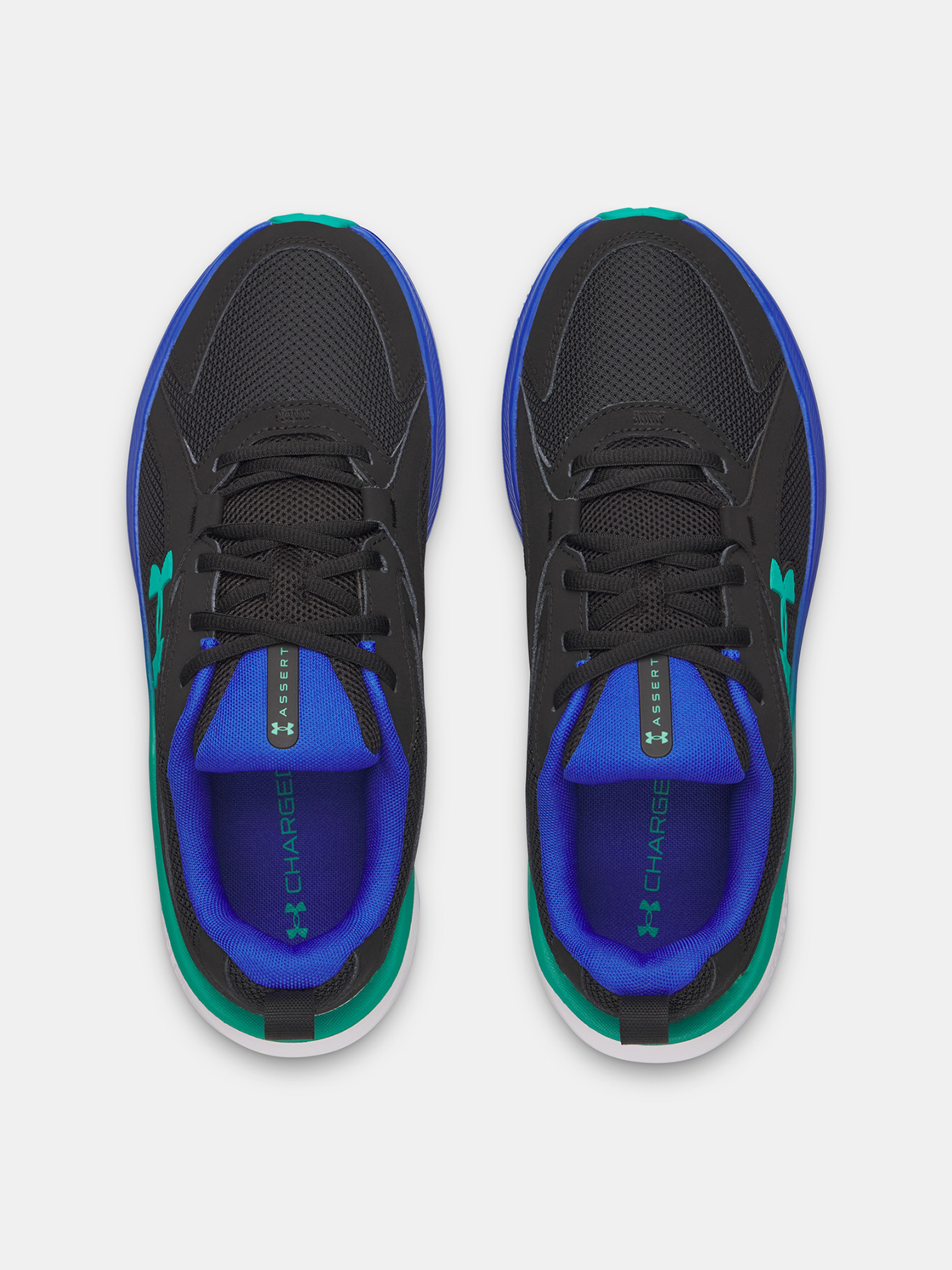 Moški čevlji Under Armour UA Assert 11 - 005