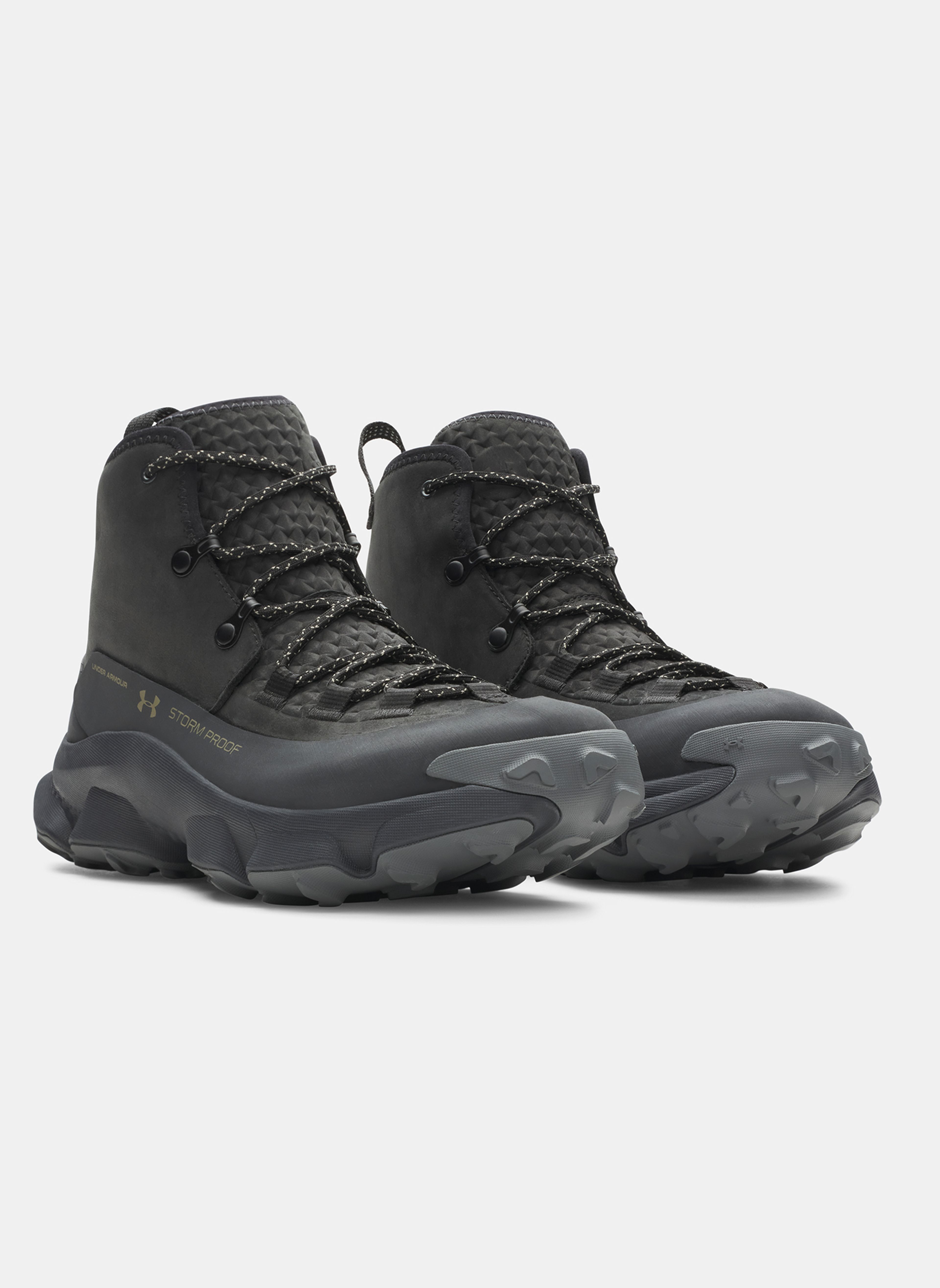 Moški čevlji Under Armour Charged Expanse Mid LTHR WP - 003