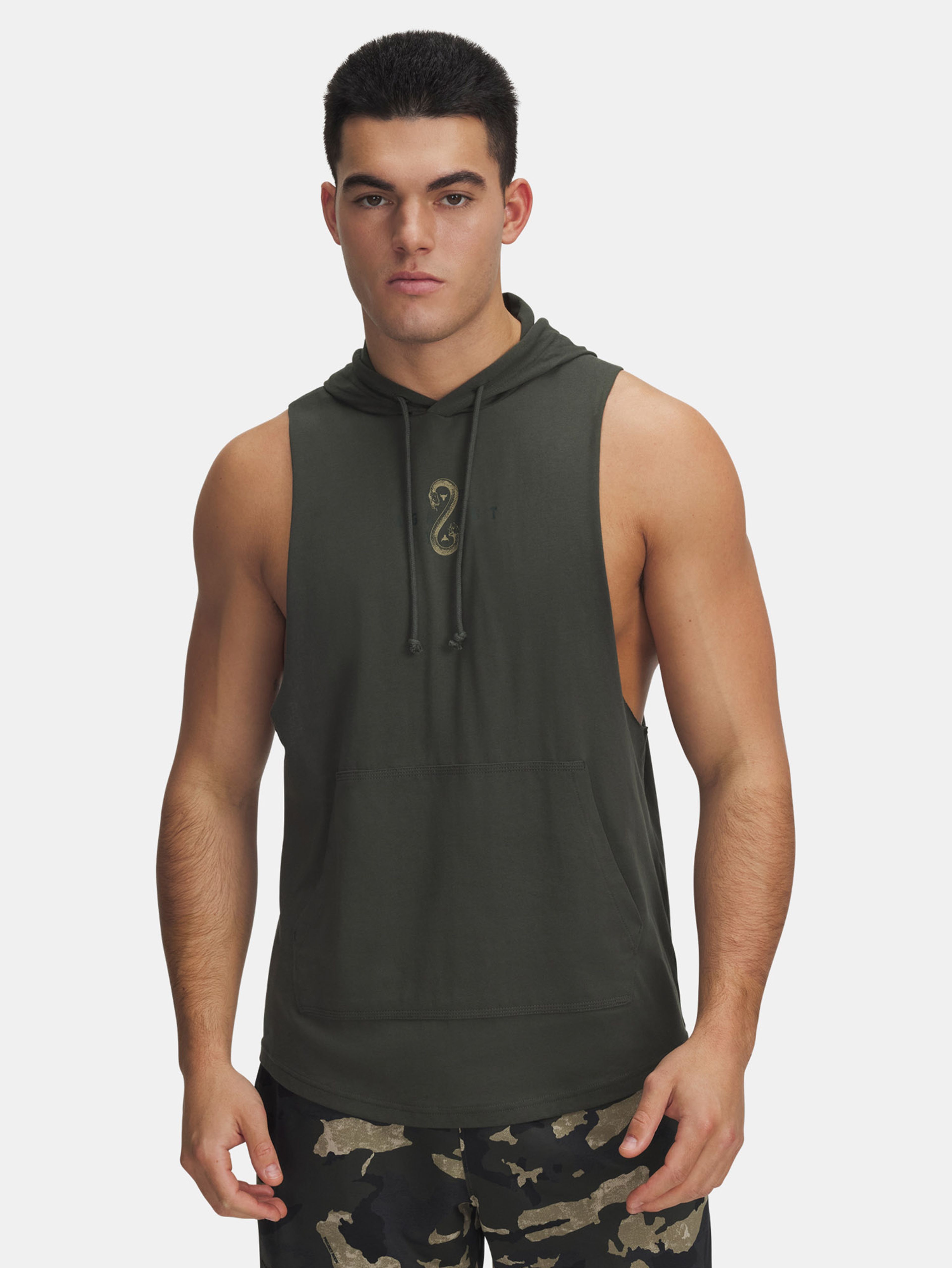 Pánská mikina Under Armour Pjt Rck Snake SL HD