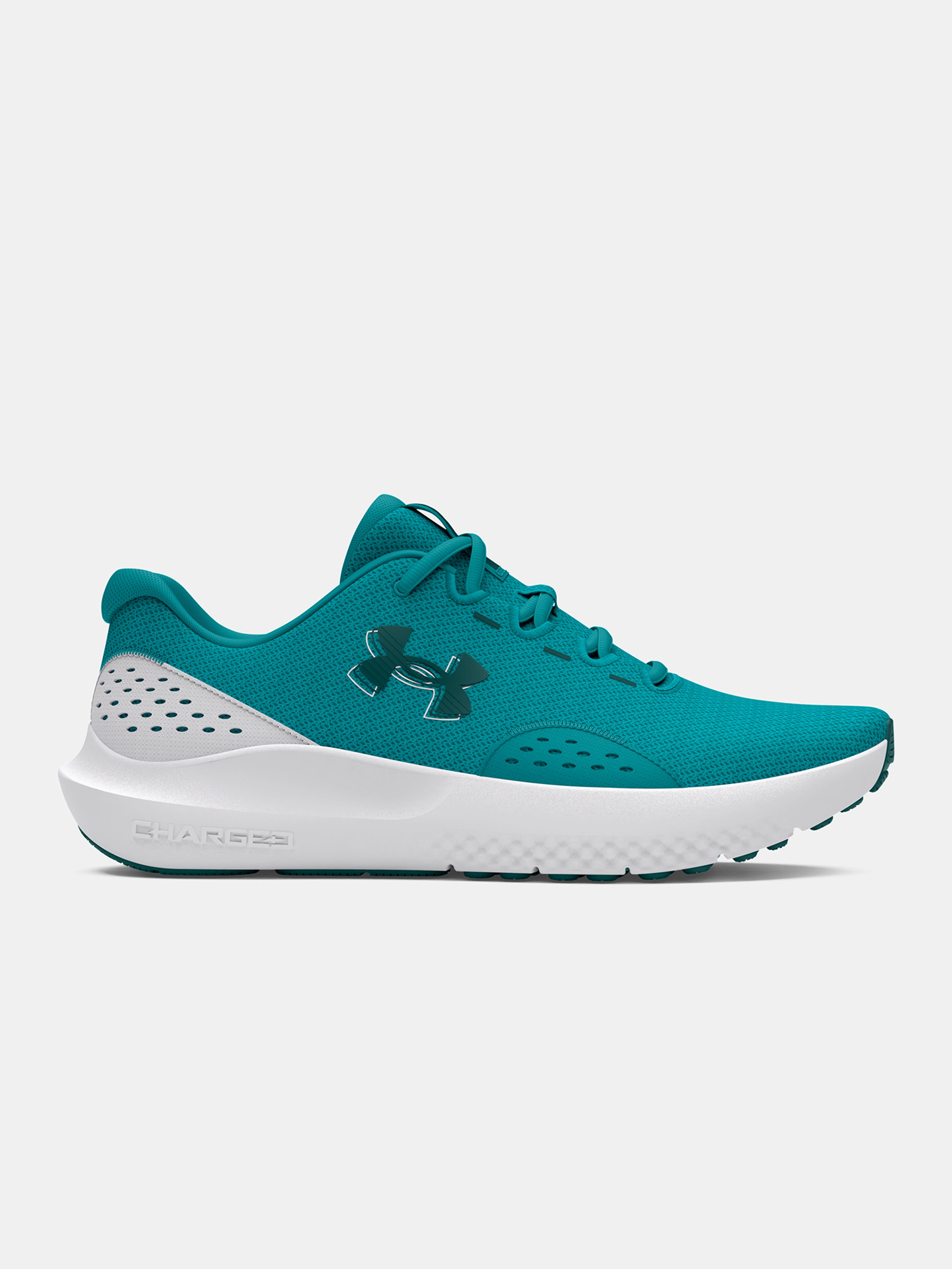 Férfi cipők Under Armour UA Charged Surge 4