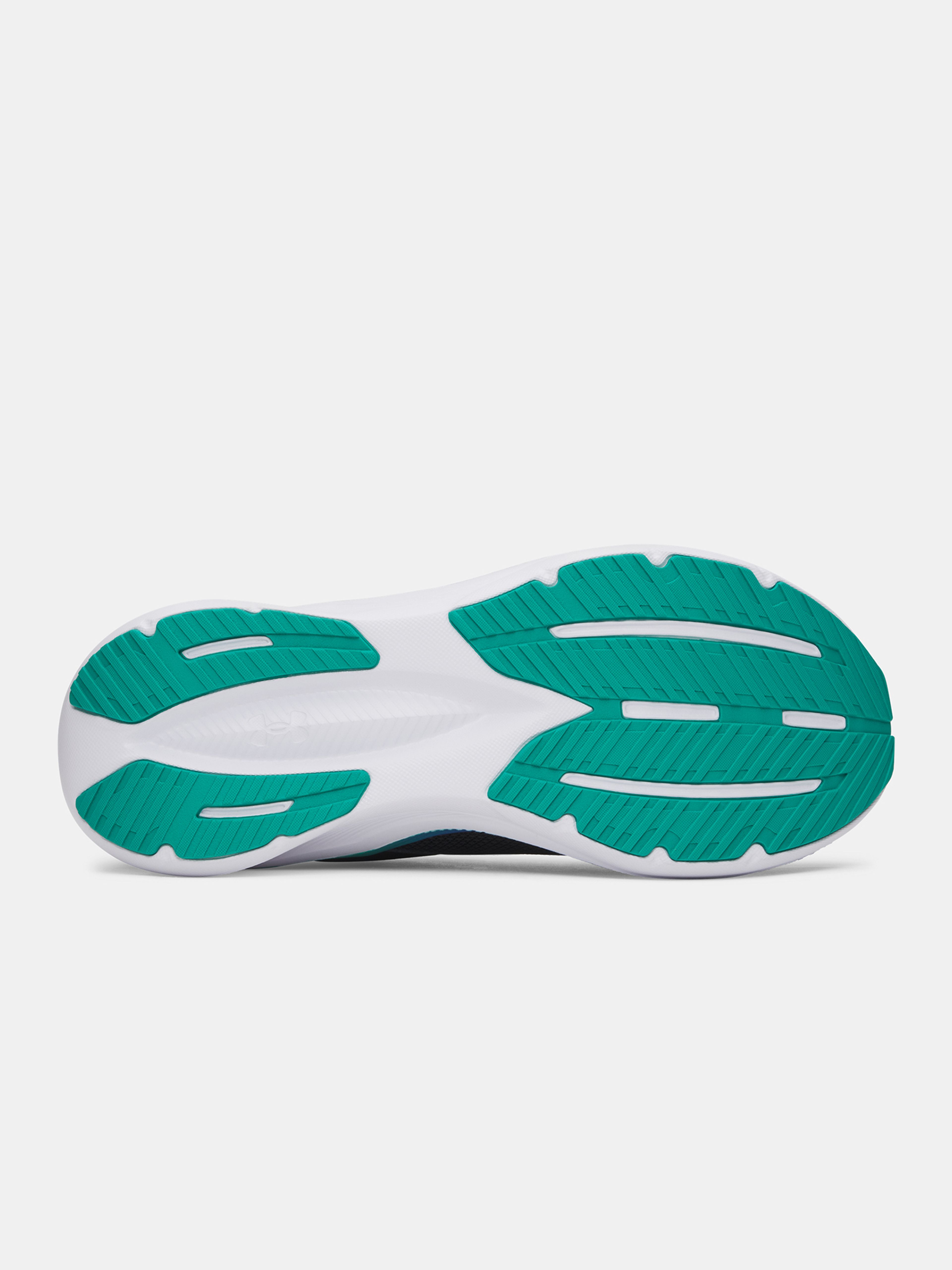 Moški čevlji Under Armour UA Assert 11 - 004