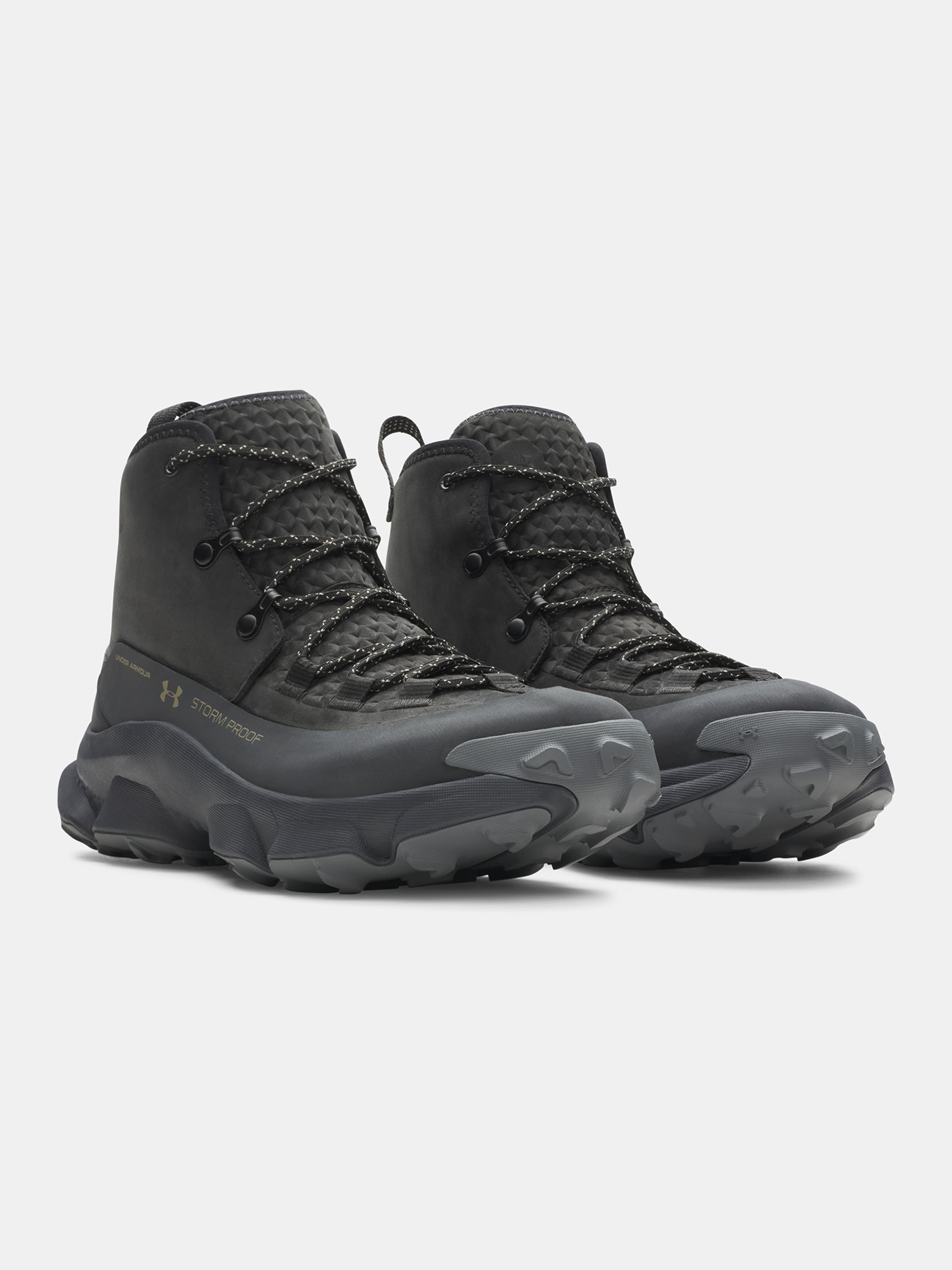 Moški čevlji Under Armour Charged Expanse Mid LTHR WP - 003