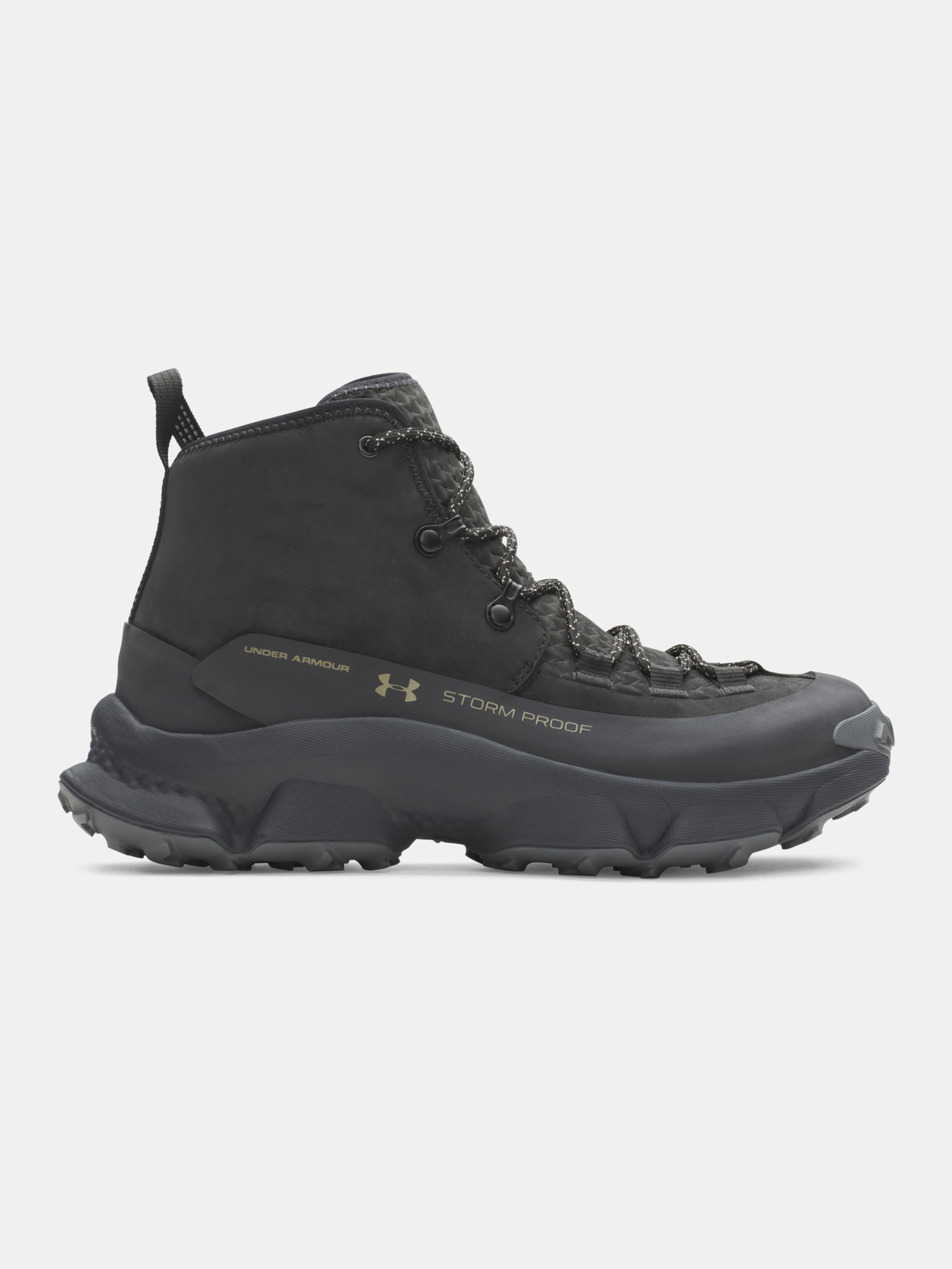Moški čevlji Under Armour Charged Expanse Mid LTHR WP - 001