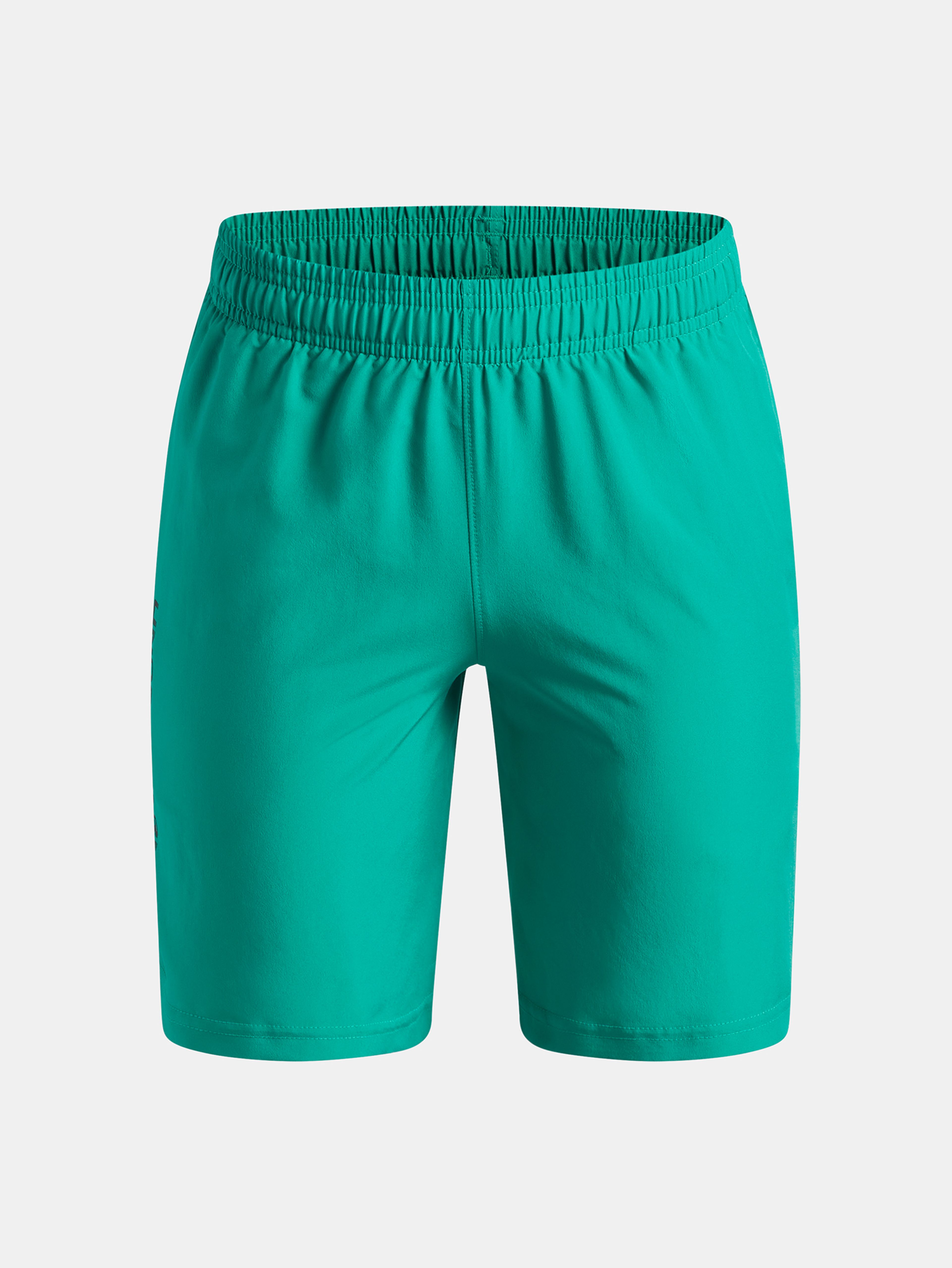 Zēnu īsbikses Under Armour UA Tech Woven Wordmark Short - 001