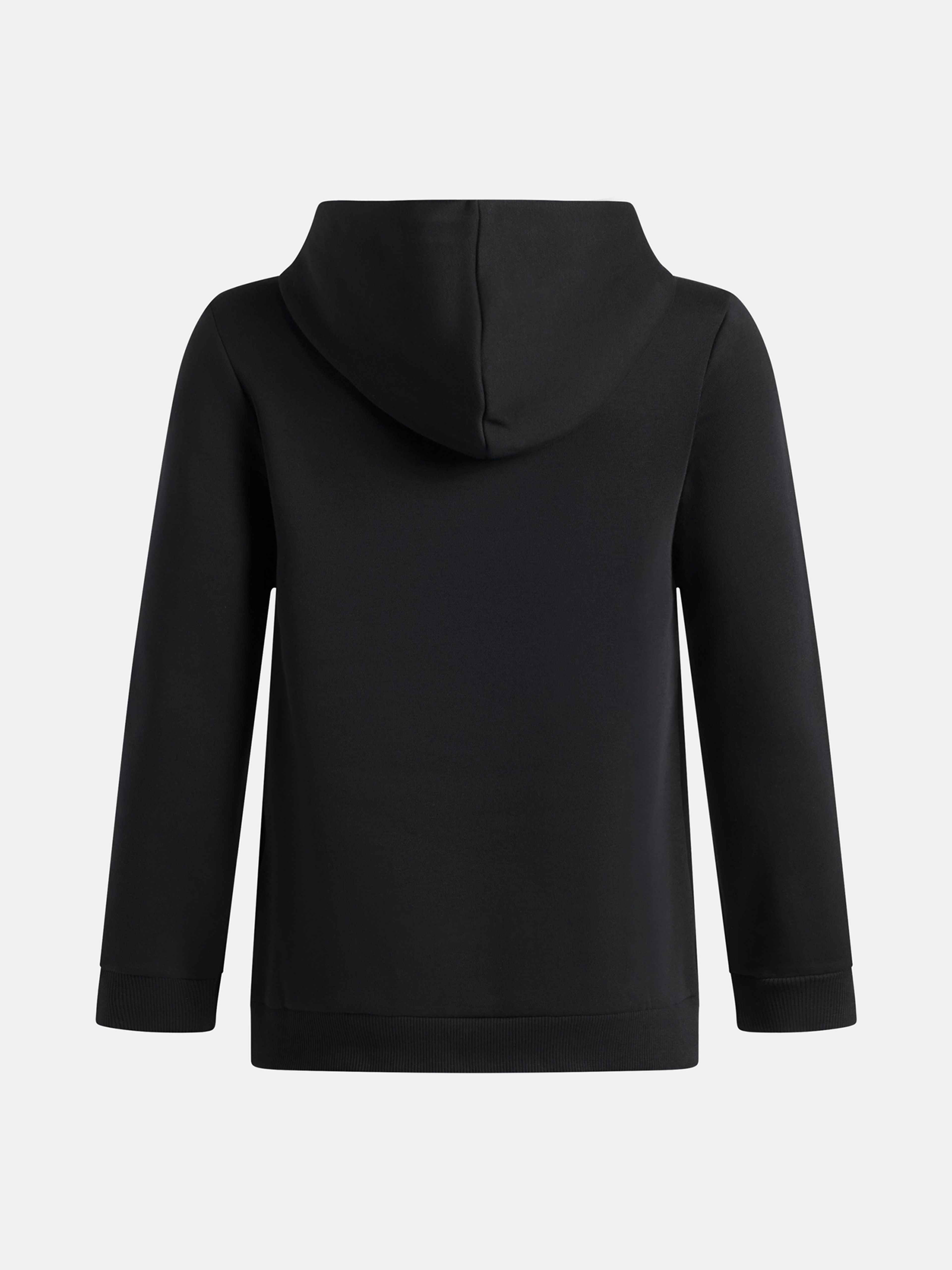 Poiste dressipluus Under Armour UA B RIVAL FLEECE HOODIE - 002