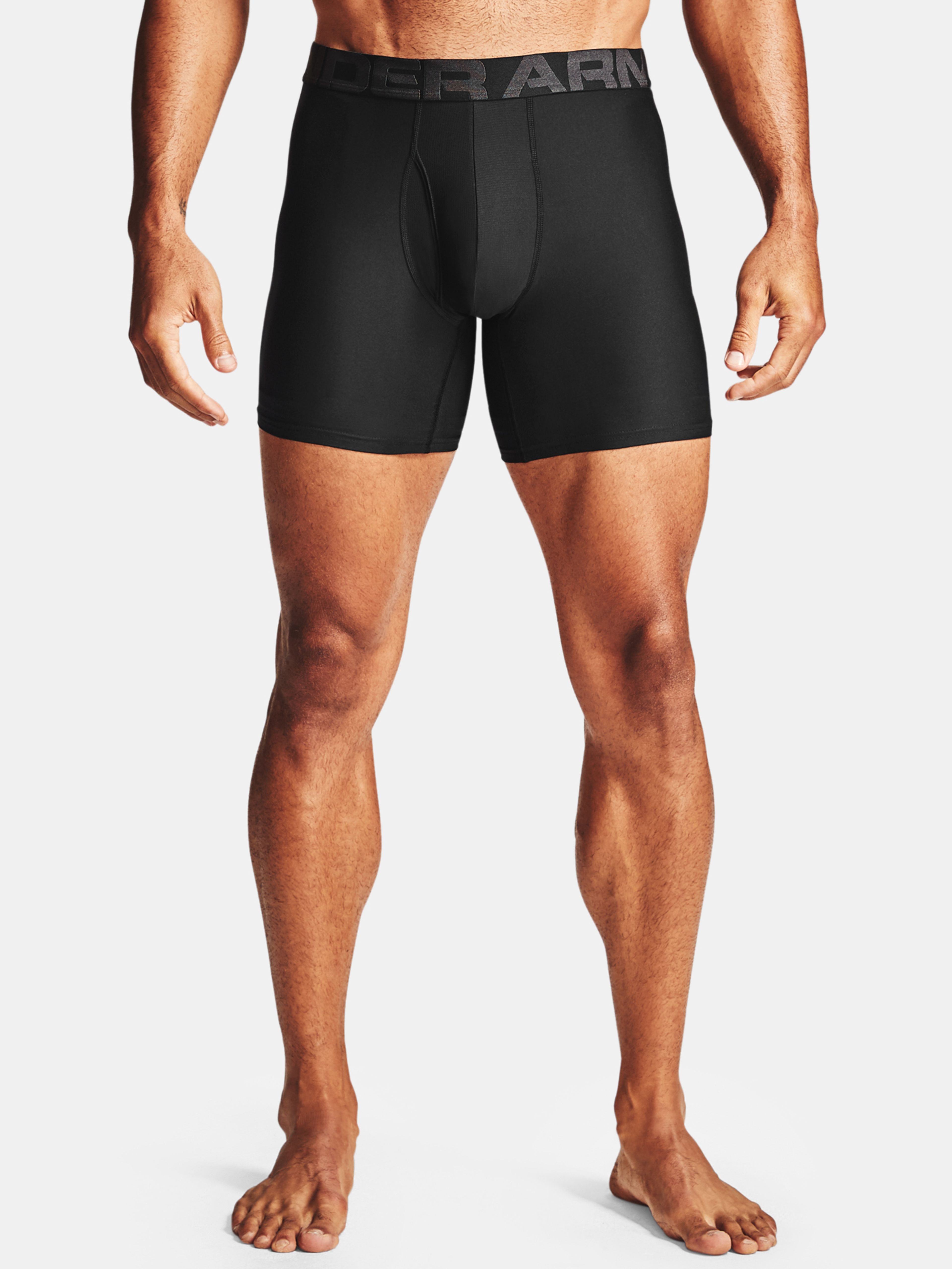 Férfi boxeralsó Under Armour Tech 6in 2 Pack