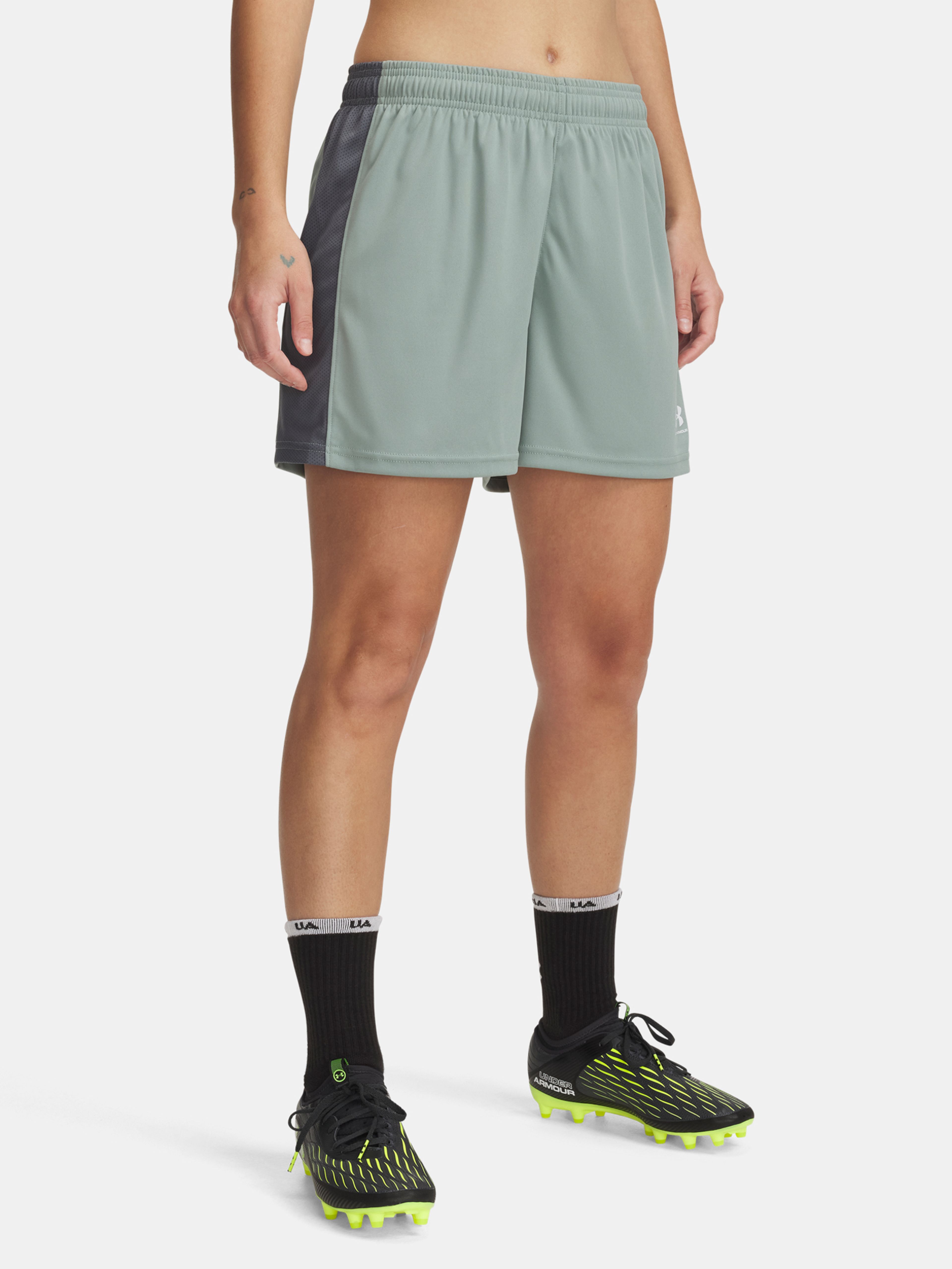 Női rövidnadrágok Under Armour UA W's Ch. Knit Short