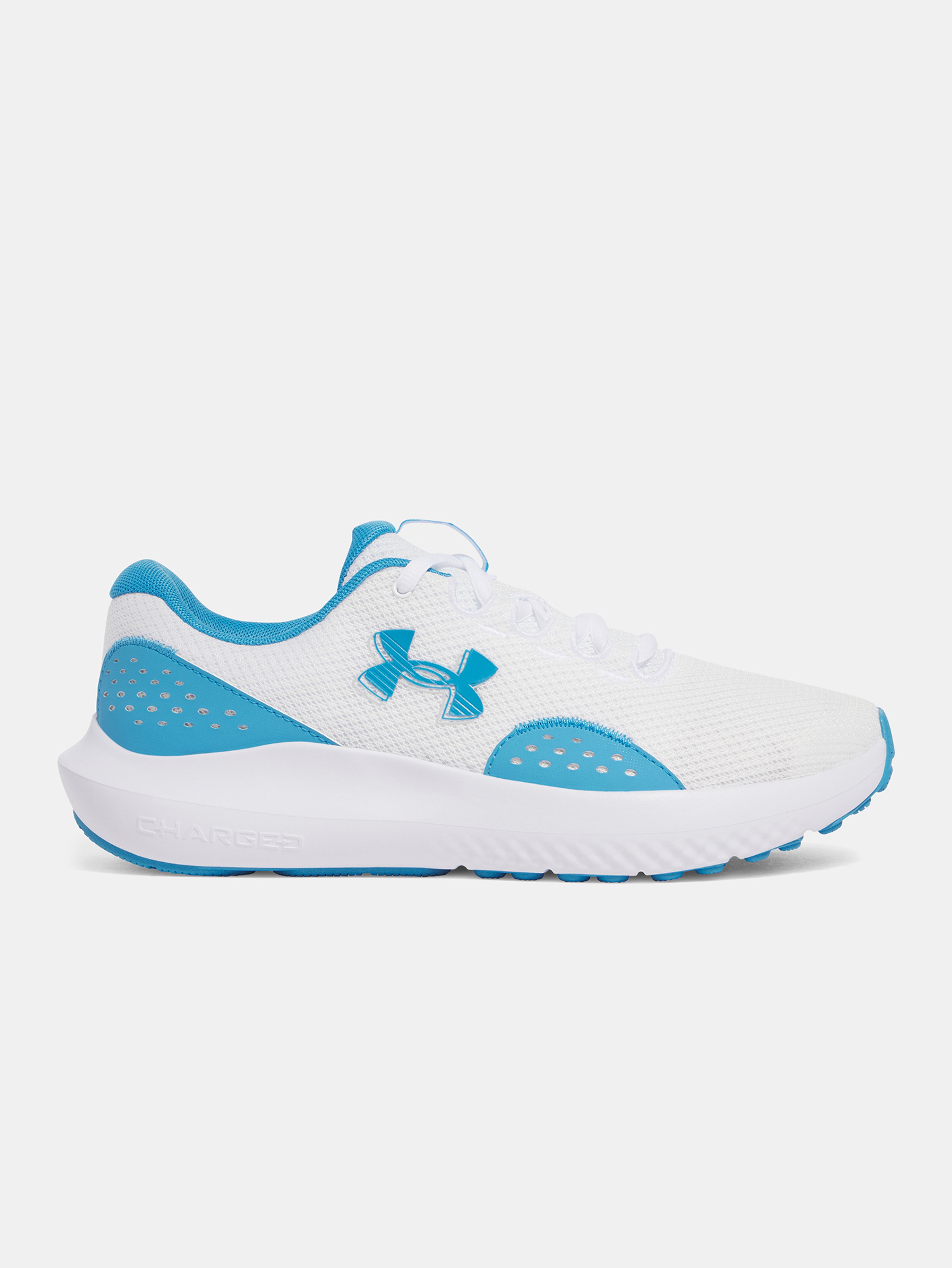 Férfi cipők Under Armour UA Charged Surge 4