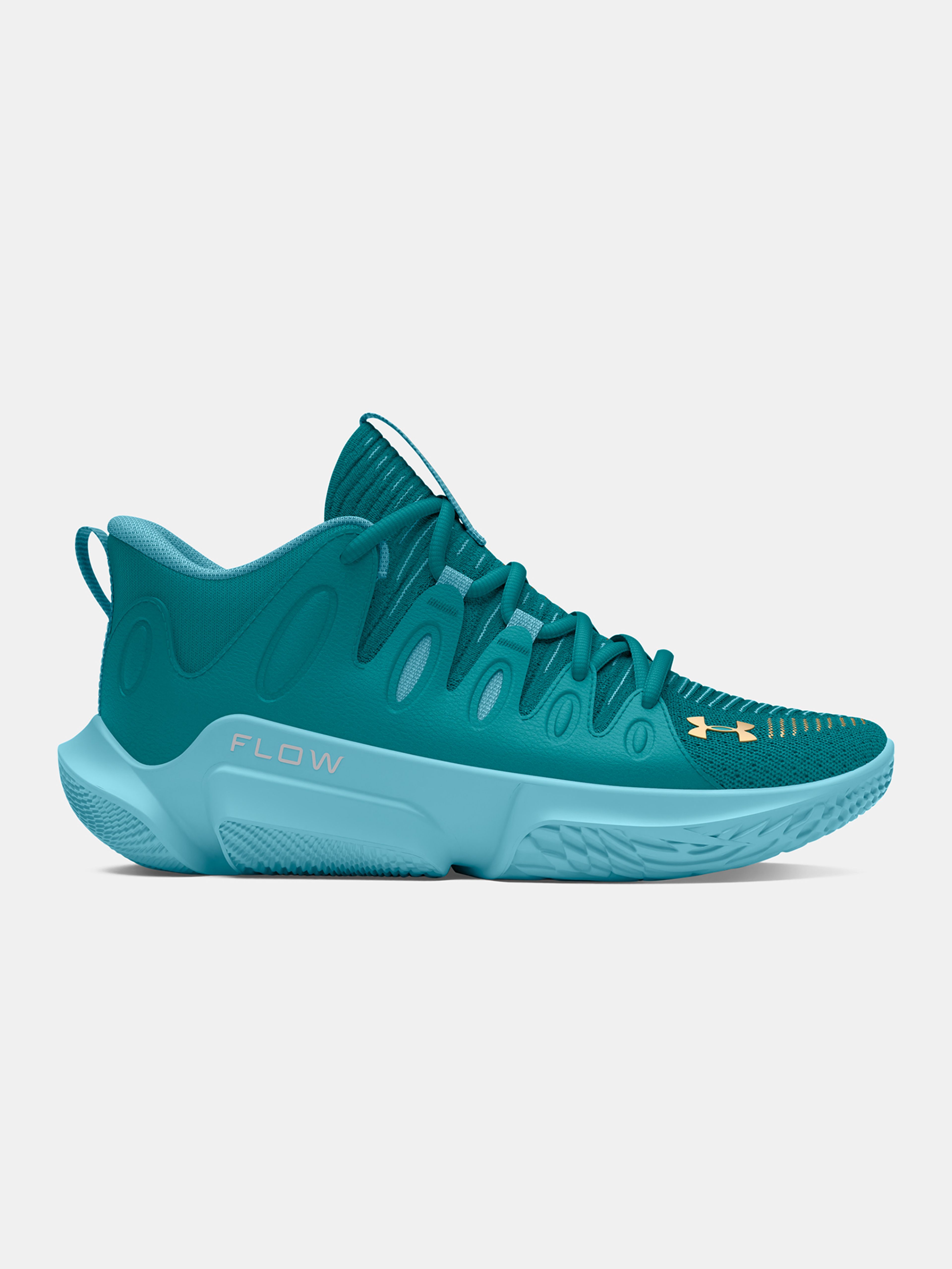 Dámské boty Under Armour UA W FLOW BREAKTHRU 4