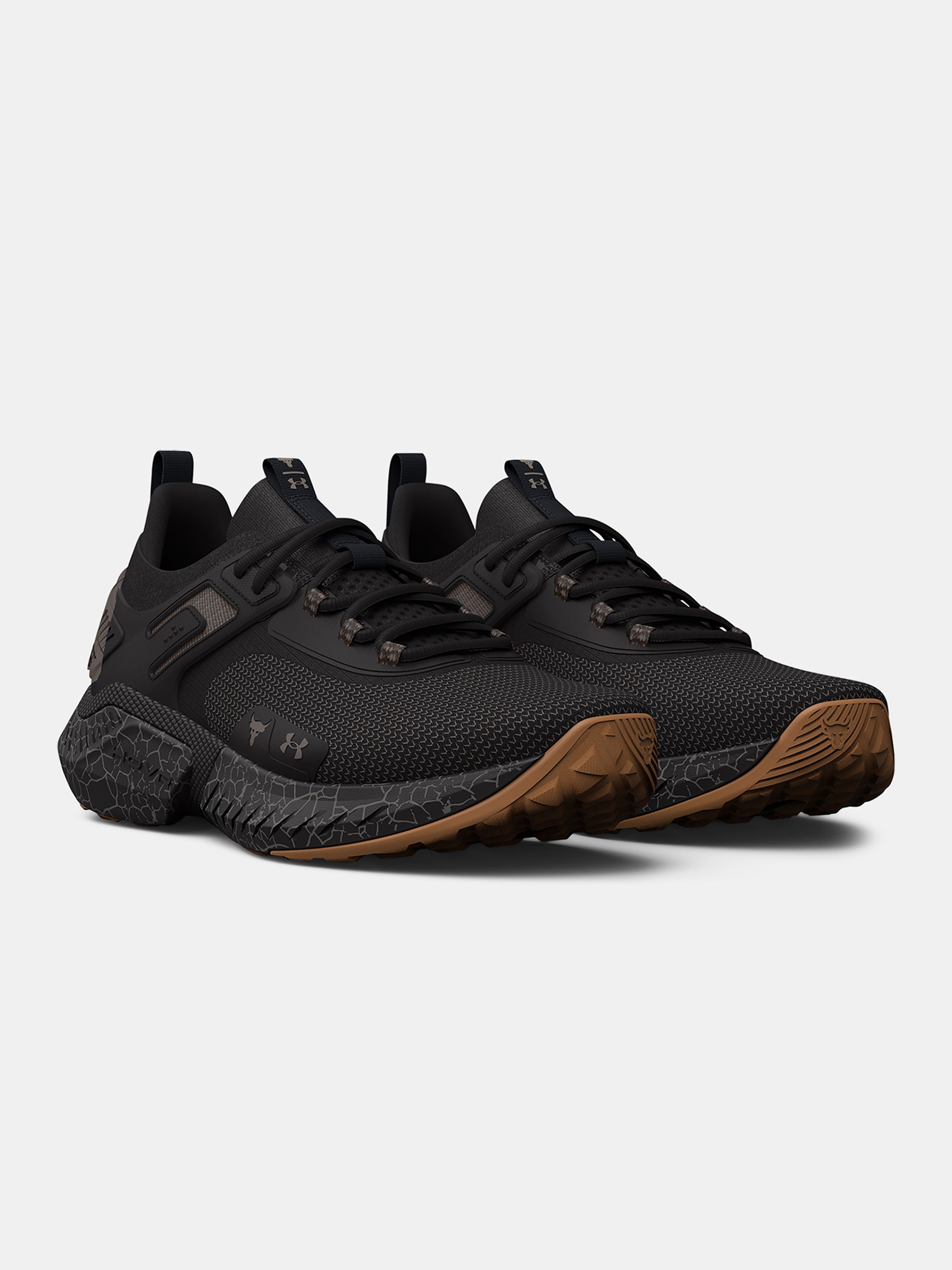 Pánské boty Under Armour UA Project Rock 5 Home Gym