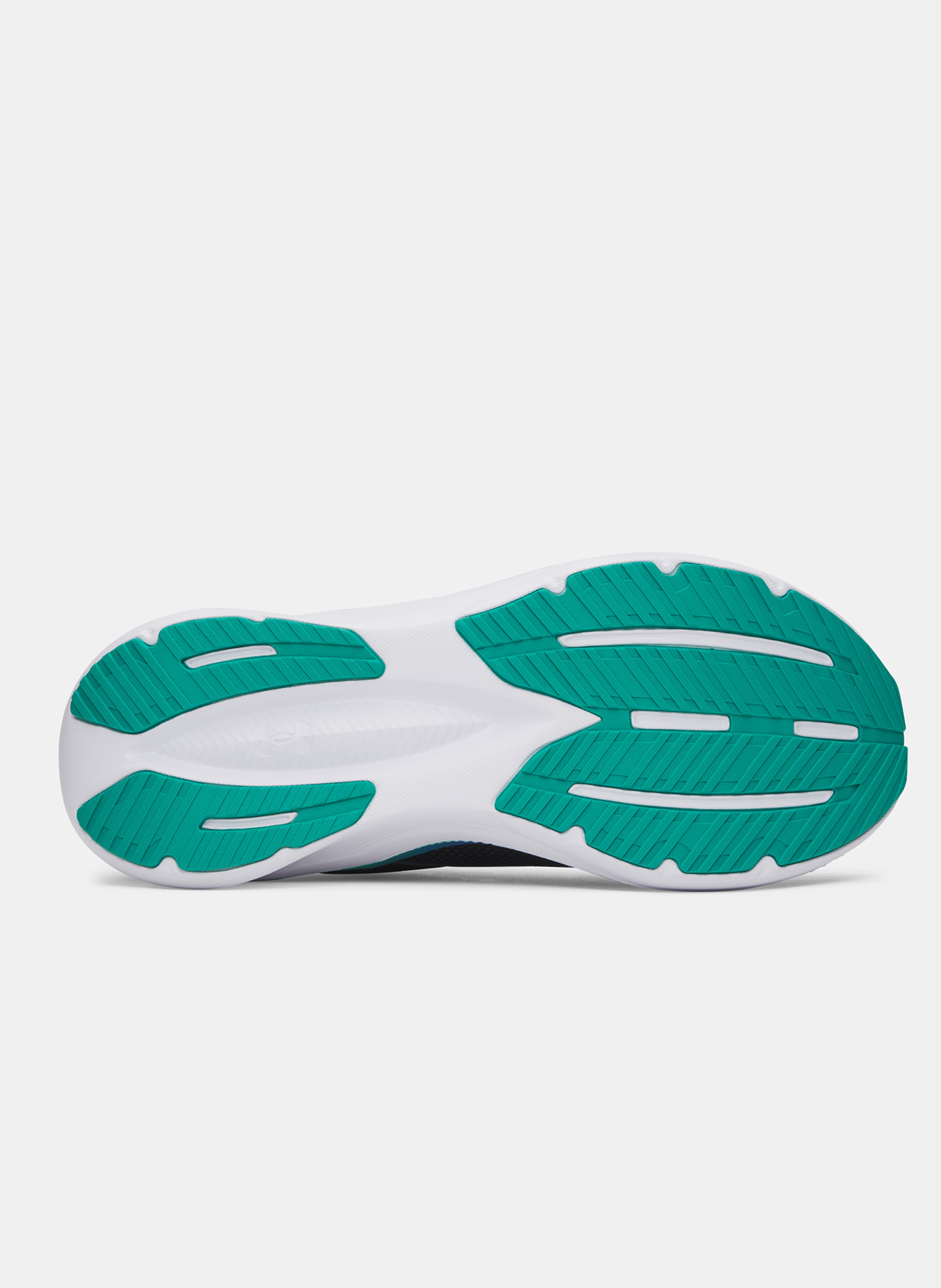 Moški čevlji Under Armour UA Assert 11 - 004