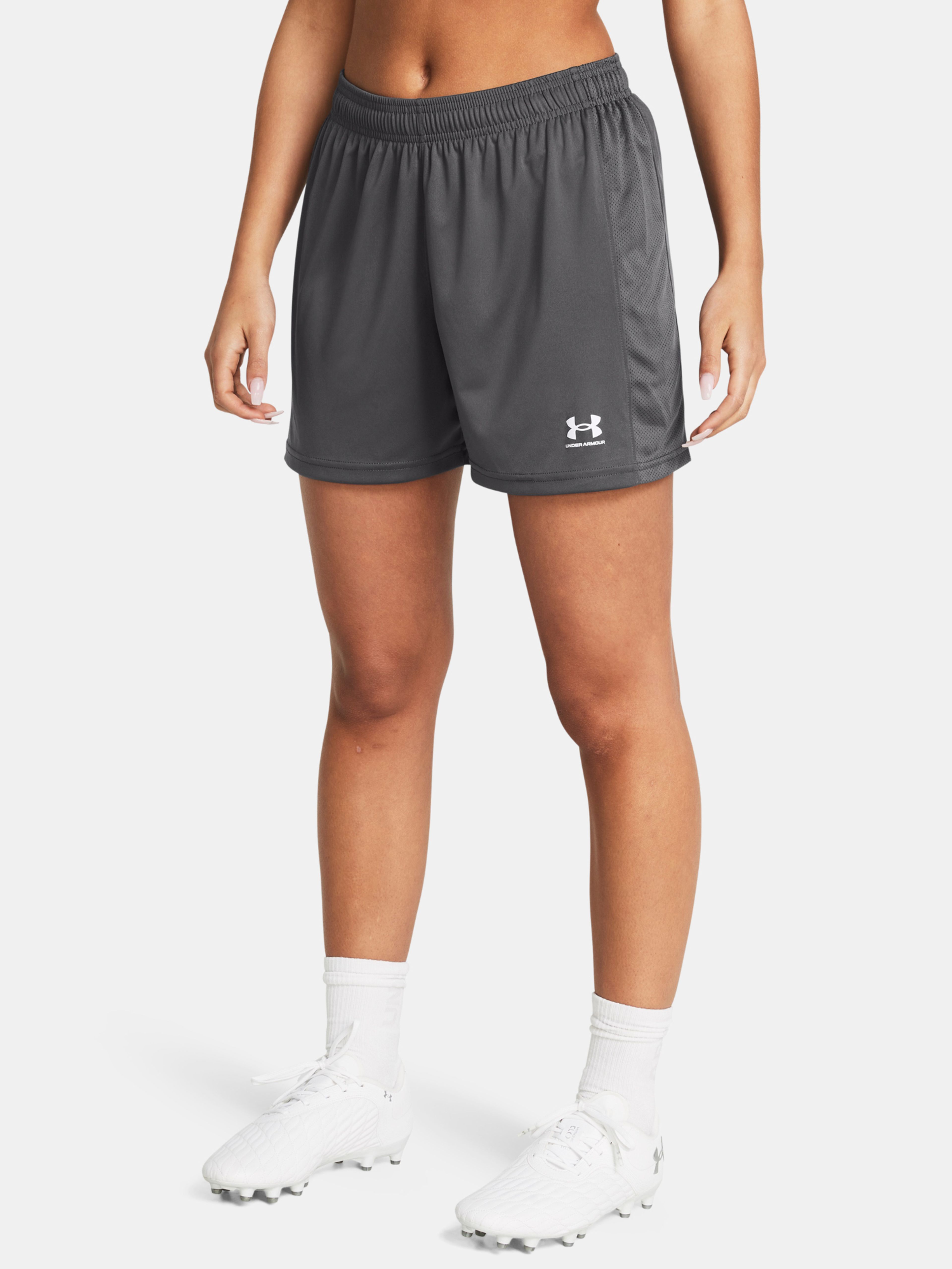 Dámské kraťasy Under Armour UA W's Ch. Knit Short-GRY